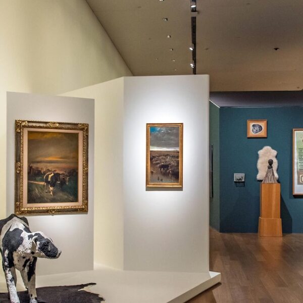 Un recorrido por el nuevo guion de arte argentino de la Colección Amalita