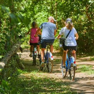 La reserva natural a 50 km de Buenos Aires donde podés ver carpinchos gratis