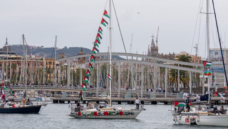 Denuncian que hay varios argentinos en la Flotilla que llevaba ayuda a Gaza y fue interceptada por Israel en aguas internacionales