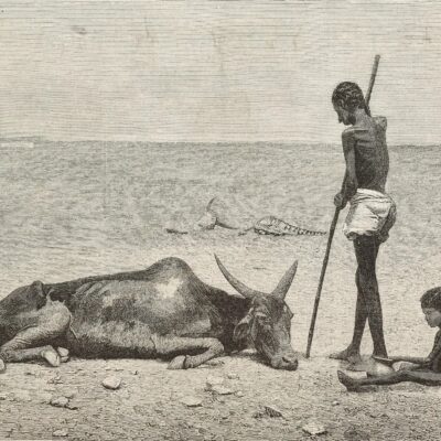 Se está formando un poderoso fenómeno de El Niño. Si la historia sirve de referencia, podría golpear con fuerza